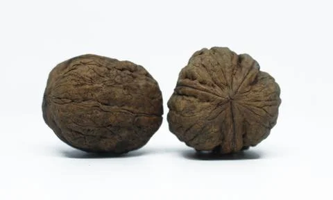 Two nuts on a white background Foto stock
