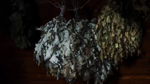 Two oak brooms hang on a rustic wooden wall in a sauna, softly blurred Stock Photos