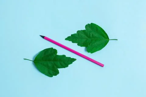 Two Objects Arranged Facing Inward Outward On a Separated Coloured Background 写真素材