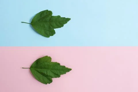 Two Objects Arranged Facing Inward Outward On a Separated Coloured Background Stock Photos