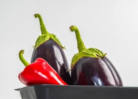 Two oblong and round eggplants and red pepper in a black plastic rectangular  Fotos de archivo