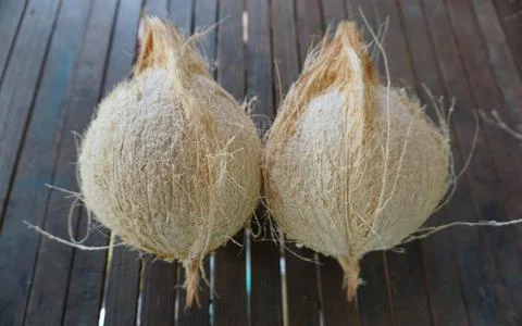 Two old coconuts which have been peeled, are on a brown wood table Stock Photos