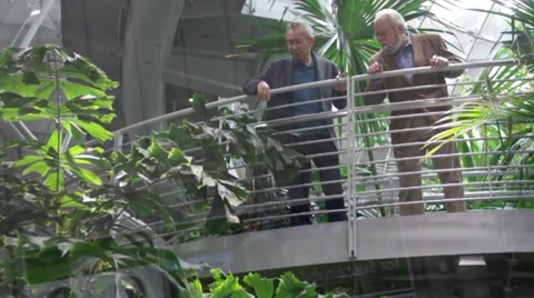 Two old man looking on different species of plants Stock Footage 36161601