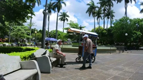 Two Old men chatting Stock Footage 198601657