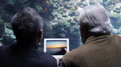 Two old men looking at the image in an iPad in Aquarium Stock Footage 36163029