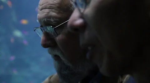 Two old men standing close to an aquarium Stock Footage 36152085