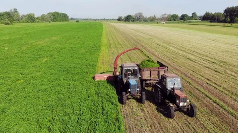 Two Old Model Tractors With Mower And Trailer Mow Clover In The Field Stock Footage 128076929