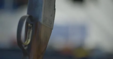 Two old rifles Stock Footage 58951453