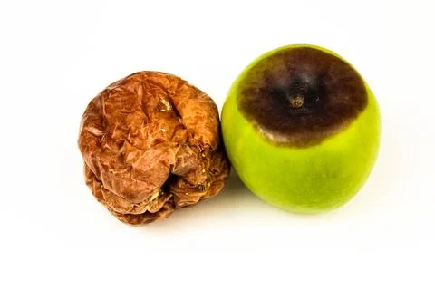 Two old rotten apples with large DOF on white background Stock Photos