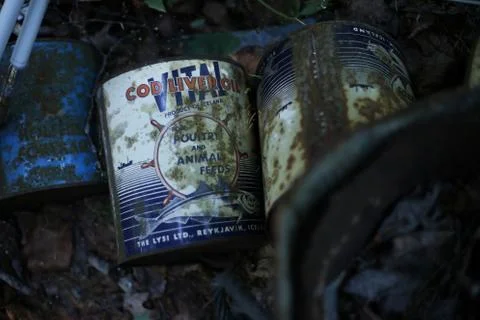 Two old rusting cod liver oil tins Foto stock