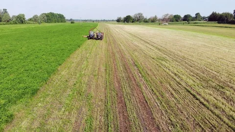 Two Old Tractors With Mower And Trailer Mow Clover In The Field Stock Footage 128077038