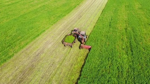 Two Old Tractors With Mower And Trailer Harvesting Clover In The Field Stock Footage 128079052