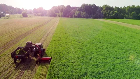 Two Old Tractors With Mower And Trailer Harvesting Clover In The Field Stock Footage 128079165