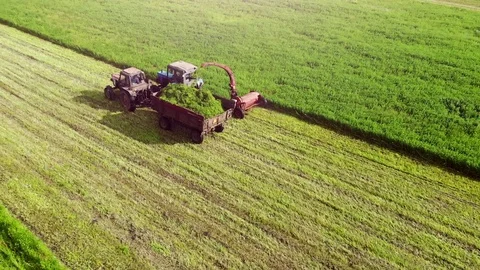 Two Old Tractors With Mower And Trailer Harvesting Clover In The Field (3) Stock Footage 128079283