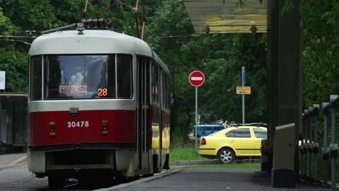Two old trams in the Park. Tram stop. Stock Footage 133567604