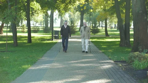 Two old upset men walking in park and talking about life, problems in old age Stock Footage 99685518