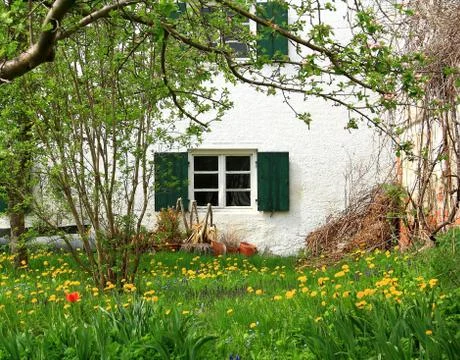 Two old windows on background of yellow dandelions Stock Photos