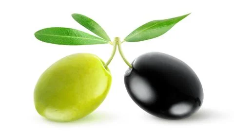 Two olives Stock Photos