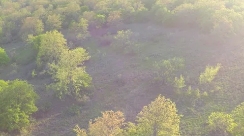 TWO for ONE Aerial Footage a Spring Sunset Stock Footage 48919042