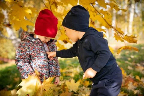 Two one and half year old babies boy and irl, stand under yellow maple tree on Stock Photos
