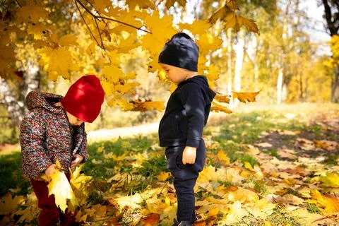 Two one and a half year old babies a boy and girl play with leaves on a warm Stock Photos