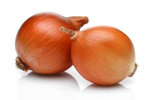 Two onion bulbs on white background Stock Photos