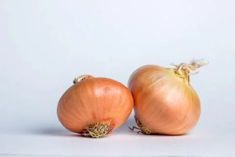 Two onions Stock Photos