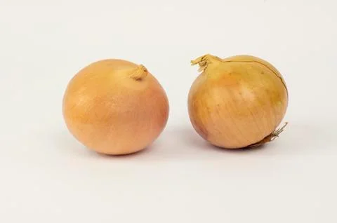 Two onions on white background Stock Photos