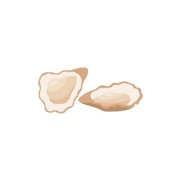 Two open oysters, cartoon vector illustration. Raw uncooked shell fish Stock Illustration