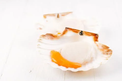 Two open raw scallops, on white wooden backdrop, seafood Stock Photos