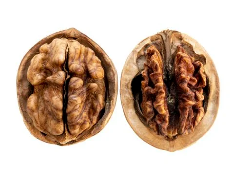 Two open walnuts in a shell , a good walnut and a spoiled walnut Stock Photos