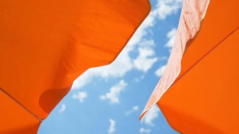 Two orange beach umbrellas Stock Footage 123554561