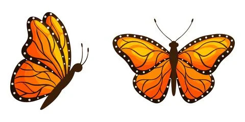 Two Orange Monarch Butterflies Set Illustration Clipart 스톡 일러스트