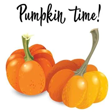 Two orange pumpkin isolated on white background. Vector Illustration Stock Illustration