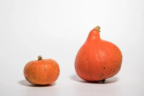Two orange pumpkins of different sorts on white background Stock Photos