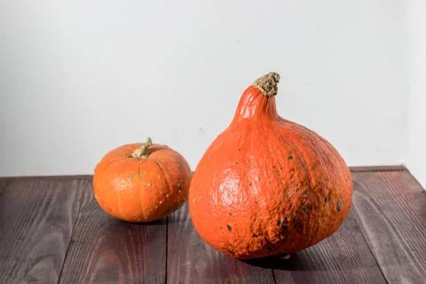 Two orange pumpkins of different sorts on a wooden table. grey background Stock Photos