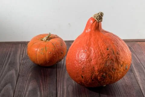 Two orange pumpkins of different sorts on a wooden table. grey background Stock Photos