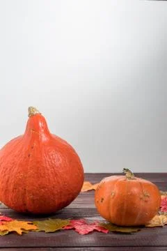 Two orange pumpkins of different sorts and maple leaves on a wooden table. grey Stock Photos