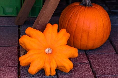 Two orange pumpkins lie on a paved road. Stock Photos