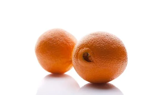 Two oranges. Isolated objects on a white background with a shadow. Foto stock