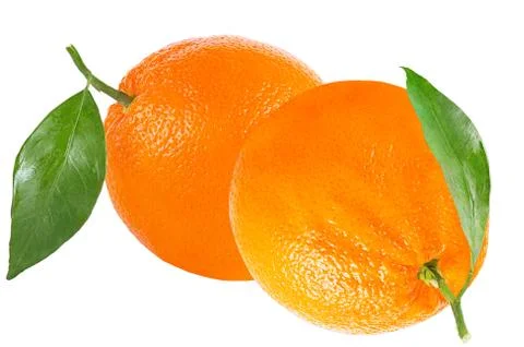 Two oranges with leaf isolated on white Stock Photos