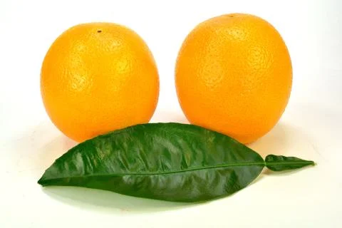 Two Oranges Stock Photos