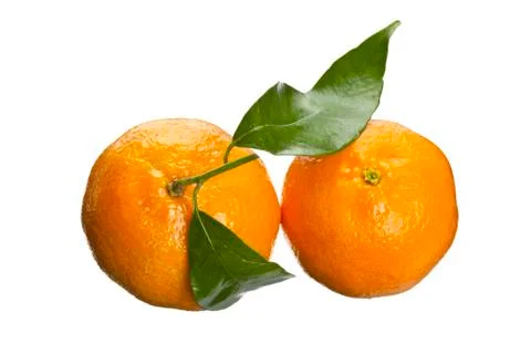 Two oranges Stock Photos