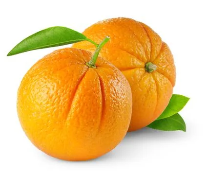 Two oranges Stock Photos