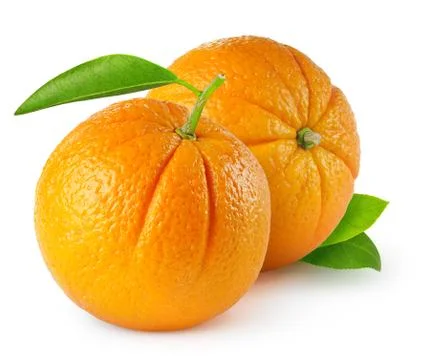 Two oranges Stock Photos