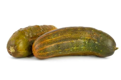 Two overripe cucumbers Foto stock