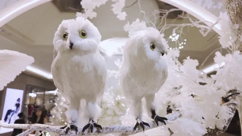 Two owls standing on a tree branch as part of a Christmas decoration in a mall. Stock Footage 293139912