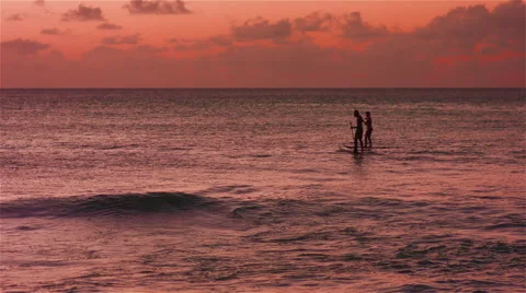 Two paddleboarders in the ocean sunset in 4K Stock Footage 42439284