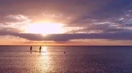 Two Paddleboarders At Sunset With Dolphins By Aerial Drone Stock Footage