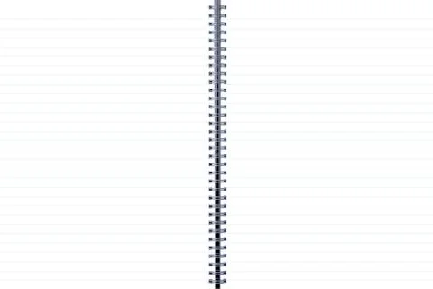 Two-page spread of a spiral bound note pad binder Stock Illustration